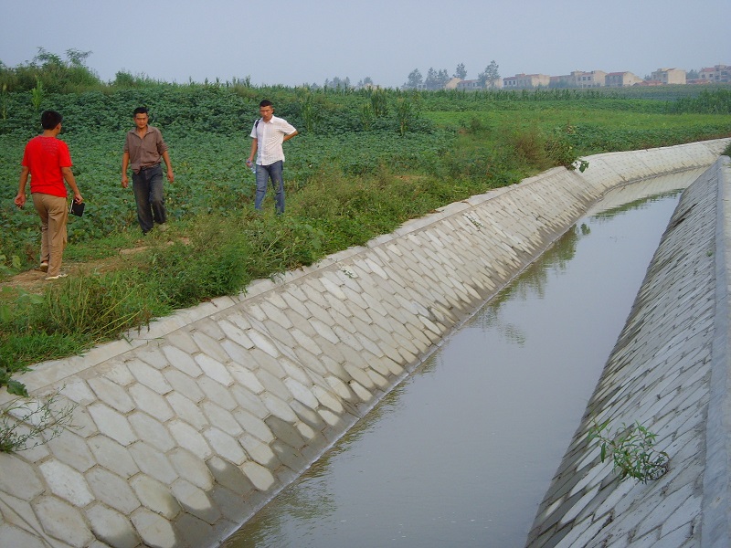湖北水建工程案例—伙牌土地整理