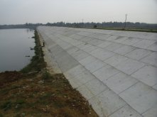 湖北水建工程案例—王坡水庫(kù)