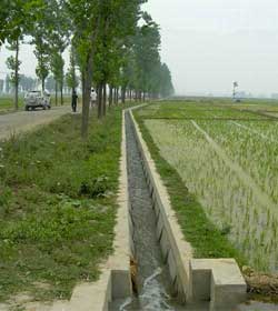 臥龍鎮(zhèn)祖師殿中低產(chǎn)田改造項(xiàng)目