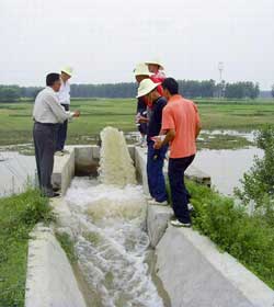 棗陽市車河土地整理項目